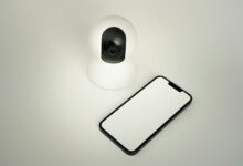 business growth data analysis