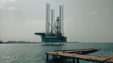 develop online business platform