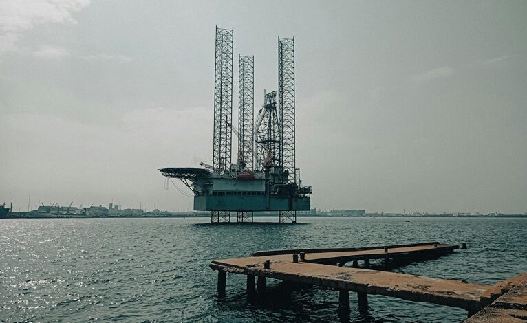 develop online business platform