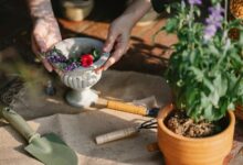 enhance growth with digital tools