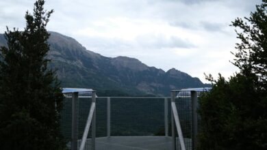 online service elevation platform