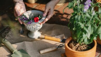 optimize growth with tools