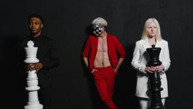 organisational intelligence performance overview